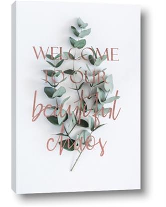 Picture of Welcome