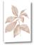 Picture of Neutral Watercolour Botanical I