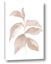 Picture of Neutral Watercolour Botanical II