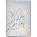 Picture of Cotton flowers _GroupedProduct_Rectangle_Portrait_Canvas_