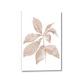 Picture of Neutral Watercolour Botanical I _GroupedProduct_Rectangle_Portrait_Canvas_