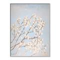 Picture of Cotton flowers _GroupedProduct_Rectangle_Portrait_Canvas_Framed_