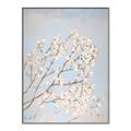 Picture of Cotton flowers _GroupedProduct_Rectangle_Portrait_Canvas_Framed_