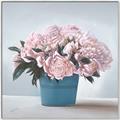 Picture of Pink Roses _GroupedProduct_Square_Canvas_Framed_