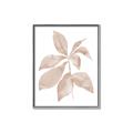 Picture of Neutral Watercolour Botanical I _GroupedProduct_Rectangle_Portrait_Canvas_Framed_