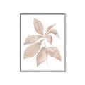 Picture of Neutral Watercolour Botanical I _GroupedProduct_Rectangle_Portrait_Canvas_Framed_