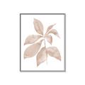 Picture of Neutral Watercolour Botanical I _GroupedProduct_Rectangle_Portrait_Canvas_Framed_