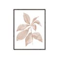 Picture of Neutral Watercolour Botanical I _GroupedProduct_Rectangle_Portrait_Canvas_Framed_