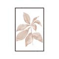 Picture of Neutral Watercolour Botanical I _GroupedProduct_Rectangle_Portrait_Canvas_Framed_