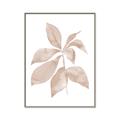 Picture of Neutral Watercolour Botanical I _GroupedProduct_Rectangle_Portrait_Canvas_Framed_