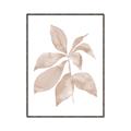 Picture of Neutral Watercolour Botanical I _GroupedProduct_Rectangle_Portrait_Canvas_Framed_