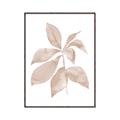 Picture of Neutral Watercolour Botanical I _GroupedProduct_Rectangle_Portrait_Canvas_Framed_
