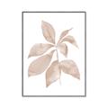 Picture of Neutral Watercolour Botanical I _GroupedProduct_Rectangle_Portrait_Canvas_Framed_
