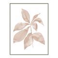 Picture of Neutral Watercolour Botanical I _GroupedProduct_Rectangle_Portrait_Canvas_Framed_