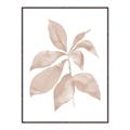 Picture of Neutral Watercolour Botanical I _GroupedProduct_Rectangle_Portrait_Canvas_Framed_
