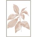 Picture of Neutral Watercolour Botanical I _GroupedProduct_Rectangle_Portrait_Canvas_Framed_