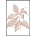 Picture of Neutral Watercolour Botanical I _GroupedProduct_Rectangle_Portrait_Canvas_Framed_