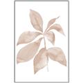Picture of Neutral Watercolour Botanical I _GroupedProduct_Rectangle_Portrait_Canvas_Framed_