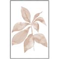 Picture of Neutral Watercolour Botanical I _GroupedProduct_Rectangle_Portrait_Canvas_Framed_