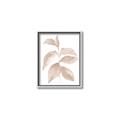 Picture of Neutral Watercolour Botanical II _GroupedProduct_Rectangle_Portrait_Canvas_Framed_