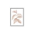 Picture of Neutral Watercolour Botanical II _GroupedProduct_Rectangle_Portrait_Canvas_Framed_
