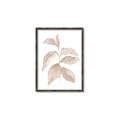 Picture of Neutral Watercolour Botanical II _GroupedProduct_Rectangle_Portrait_Canvas_Framed_