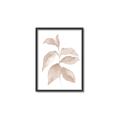 Picture of Neutral Watercolour Botanical II _GroupedProduct_Rectangle_Portrait_Canvas_Framed_