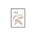 Picture of Neutral Watercolour Botanical II _GroupedProduct_Rectangle_Portrait_Canvas_Framed_