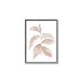 Picture of Neutral Watercolour Botanical II _GroupedProduct_Rectangle_Portrait_Canvas_Framed_