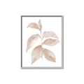 Picture of Neutral Watercolour Botanical II _GroupedProduct_Rectangle_Portrait_Canvas_Framed_