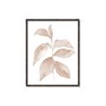 Picture of Neutral Watercolour Botanical II _GroupedProduct_Rectangle_Portrait_Canvas_Framed_