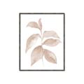 Picture of Neutral Watercolour Botanical II _GroupedProduct_Rectangle_Portrait_Canvas_Framed_