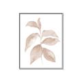 Picture of Neutral Watercolour Botanical II _GroupedProduct_Rectangle_Portrait_Canvas_Framed_