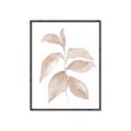 Picture of Neutral Watercolour Botanical II _GroupedProduct_Rectangle_Portrait_Canvas_Framed_