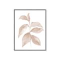 Picture of Neutral Watercolour Botanical II _GroupedProduct_Rectangle_Portrait_Canvas_Framed_