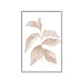 Picture of Neutral Watercolour Botanical II _GroupedProduct_Rectangle_Portrait_Canvas_Framed_
