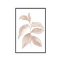 Picture of Neutral Watercolour Botanical II _GroupedProduct_Rectangle_Portrait_Canvas_Framed_