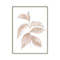 Picture of Neutral Watercolour Botanical II _GroupedProduct_Rectangle_Portrait_Canvas_Framed_