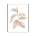 Picture of Neutral Watercolour Botanical II _GroupedProduct_Rectangle_Portrait_Canvas_Framed_