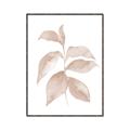 Picture of Neutral Watercolour Botanical II _GroupedProduct_Rectangle_Portrait_Canvas_Framed_