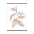 Picture of Neutral Watercolour Botanical II _GroupedProduct_Rectangle_Portrait_Canvas_Framed_