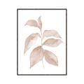 Picture of Neutral Watercolour Botanical II _GroupedProduct_Rectangle_Portrait_Canvas_Framed_