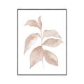 Picture of Neutral Watercolour Botanical II _GroupedProduct_Rectangle_Portrait_Canvas_Framed_