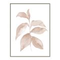 Picture of Neutral Watercolour Botanical II _GroupedProduct_Rectangle_Portrait_Canvas_Framed_