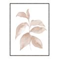 Picture of Neutral Watercolour Botanical II _GroupedProduct_Rectangle_Portrait_Canvas_Framed_