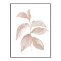 Picture of Neutral Watercolour Botanical II _GroupedProduct_Rectangle_Portrait_Canvas_Framed_