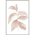 Picture of Neutral Watercolour Botanical II _GroupedProduct_Rectangle_Portrait_Canvas_Framed_
