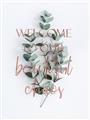 Picture of Welcome _GroupedProduct_Rectangle_Portrait_Unframed_Print_Only_