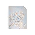 Picture of Cotton flowers _GroupedProduct_Rectangle_Portrait_Unframed_Print_Only_