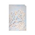 Picture of Cotton flowers _GroupedProduct_Rectangle_Portrait_Unframed_Print_Only_